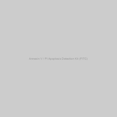 Annexin V / PI Apoptosis Detection Kit (FITC)
